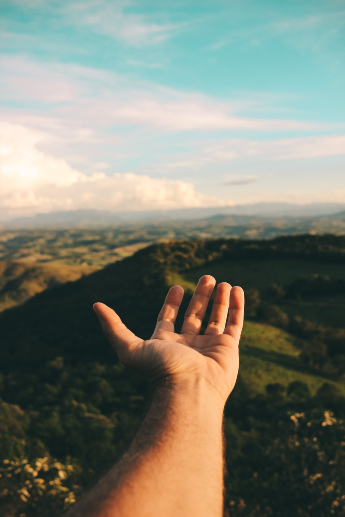 Person's Left Hand